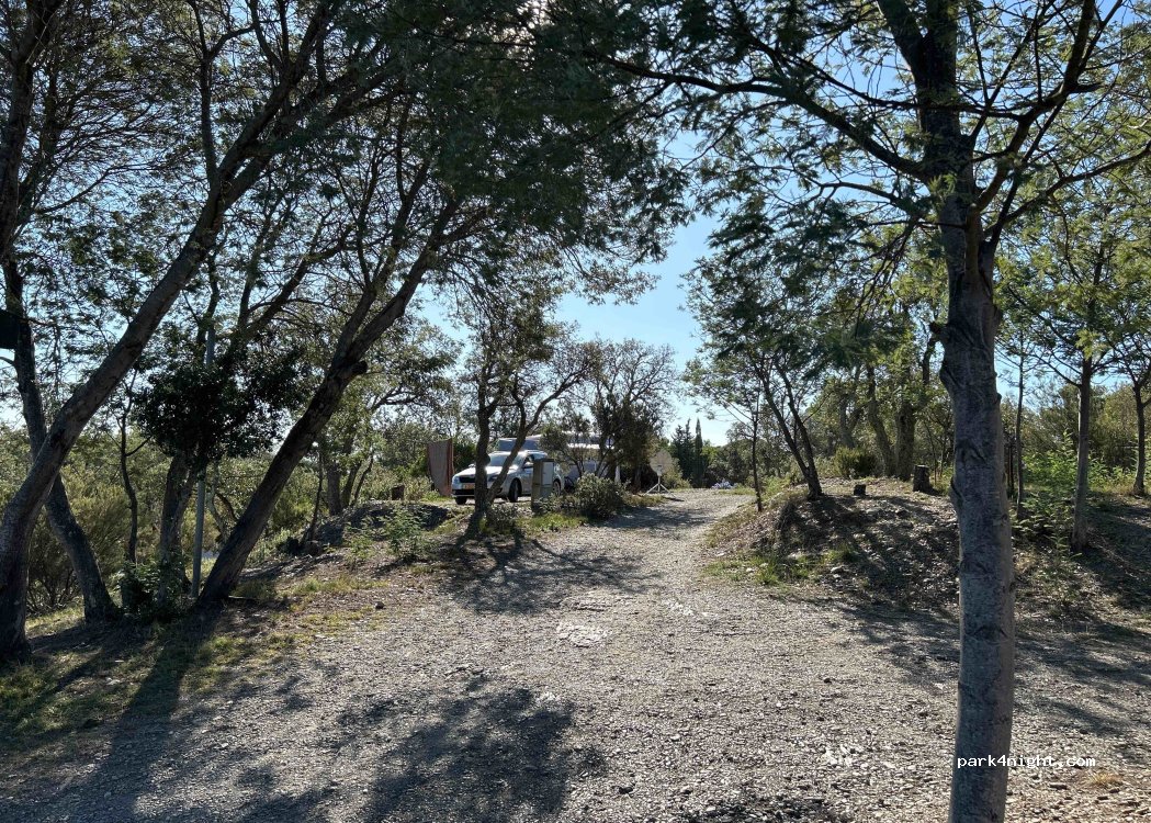 Càmping El Comú — foto 2