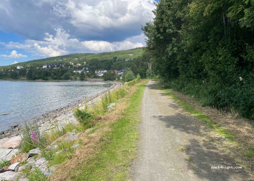 Elvelund Camping — foto 4