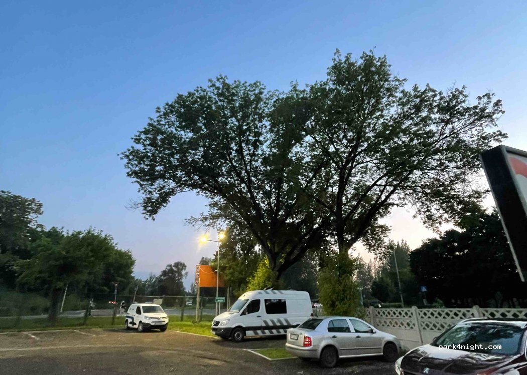 (400394) Cluj-Napoca - 41 Strada Frasinului — foto
