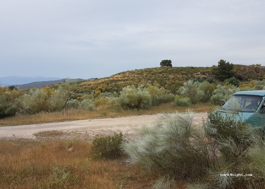 (30815) Campo López - — foto