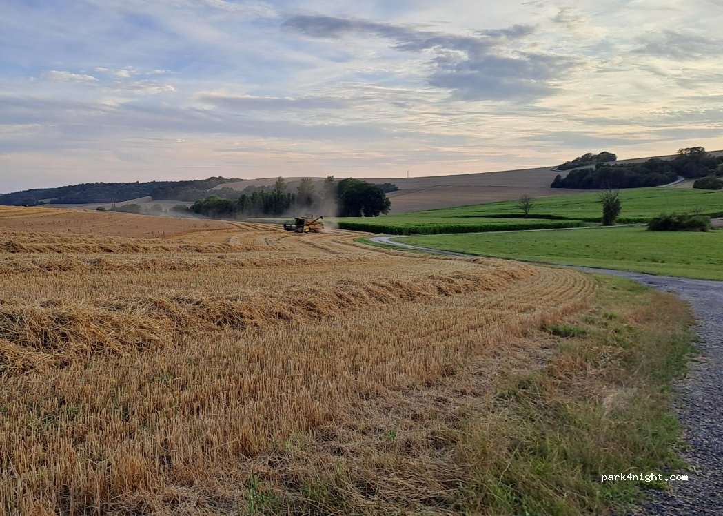 La Ferme des Saturnins — foto 5