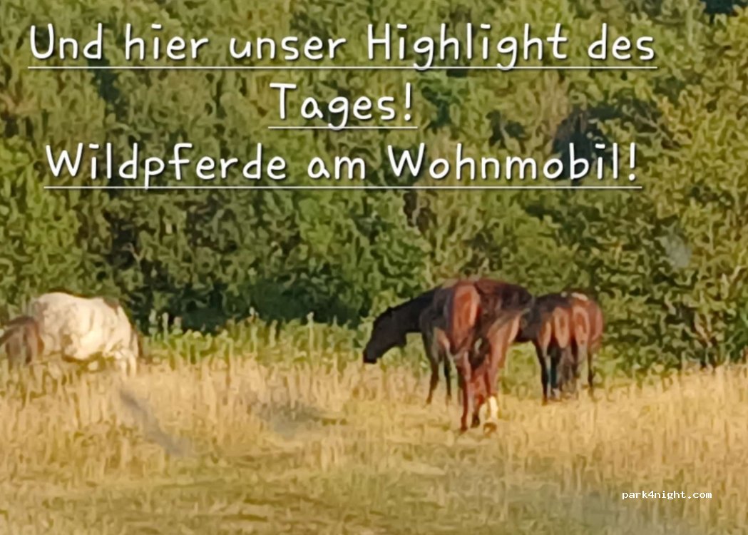 (325150) Steierdorf - — foto 5