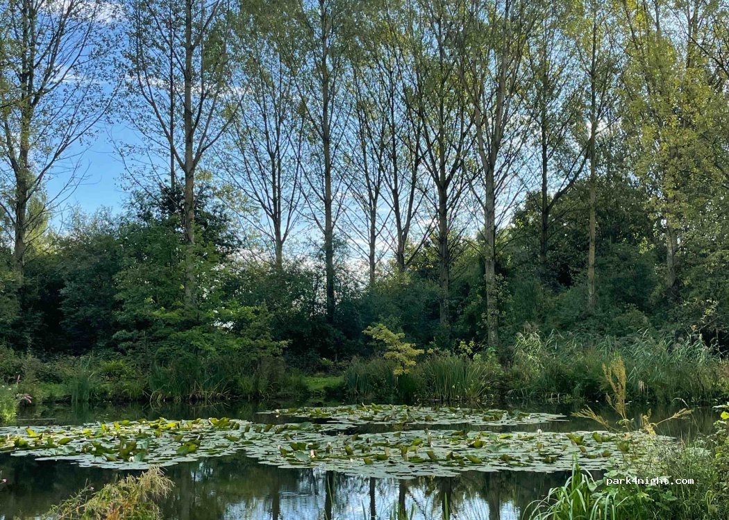Gabriels Fishery and Farm Campsite — foto 3