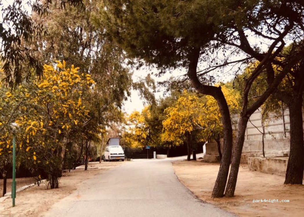 Camping Nettuno — foto 3
