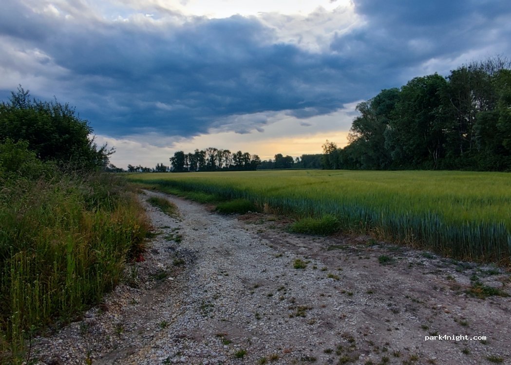 (55800) Rancourt-sur-Ornain - — foto