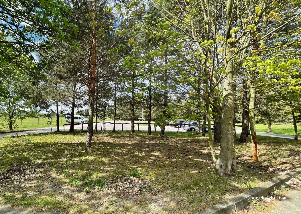 (06774) Muldestausee - Unnamed road — foto 2