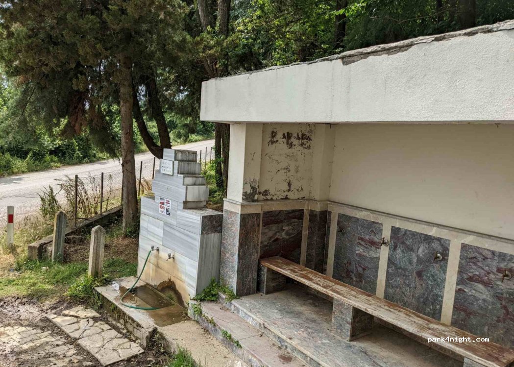 (81650) Akçakoca - Paşalar Köyü İç Yolu — foto 2