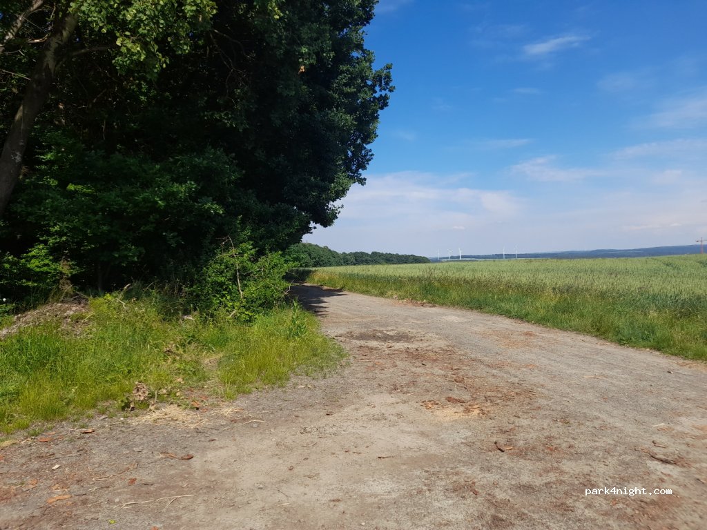(35315) Homberg (Ohm) - 9 Zur Waldecke — foto