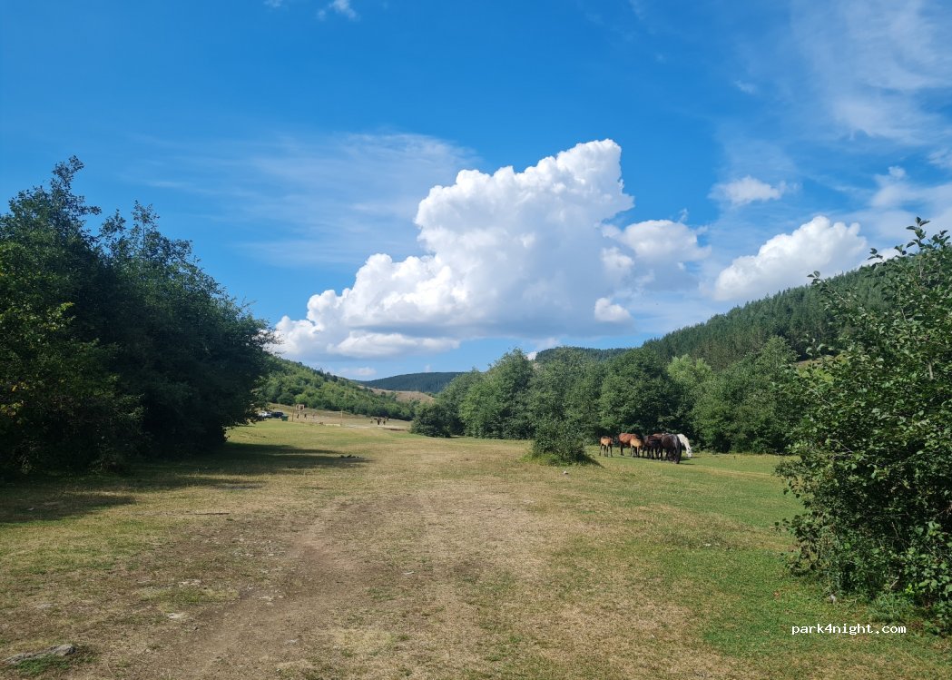 () Šušure - 29 — foto 2