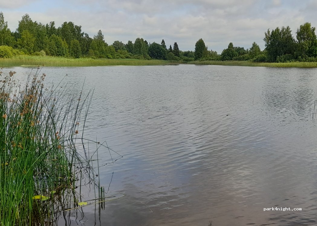 (75006) Kiruvere - — foto 2