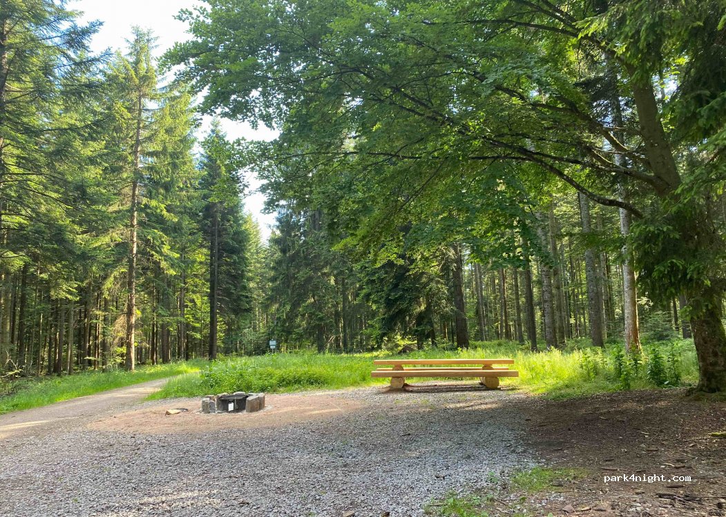 (78126) Königsfeld im Schwarzwald - — foto