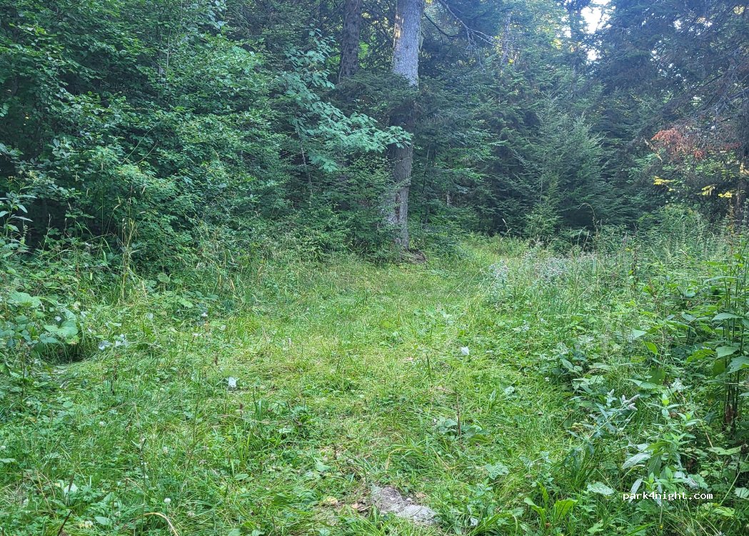 (26420) Saint-Agnan-en-Vercors - 4 D815 — foto 3