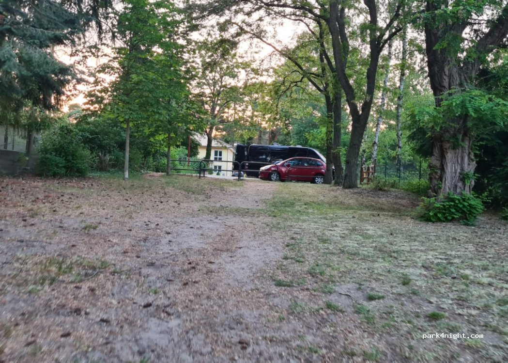 (15526) Bad Saarow - 9 Alte Eichen — foto