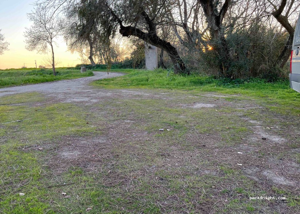 (2120-013) Salvaterra de Magos - — foto 5