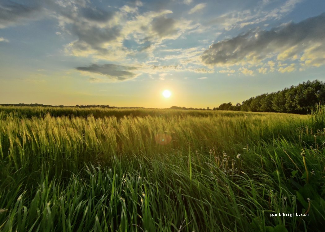 Samsø, Sildeballe 3 — foto 4