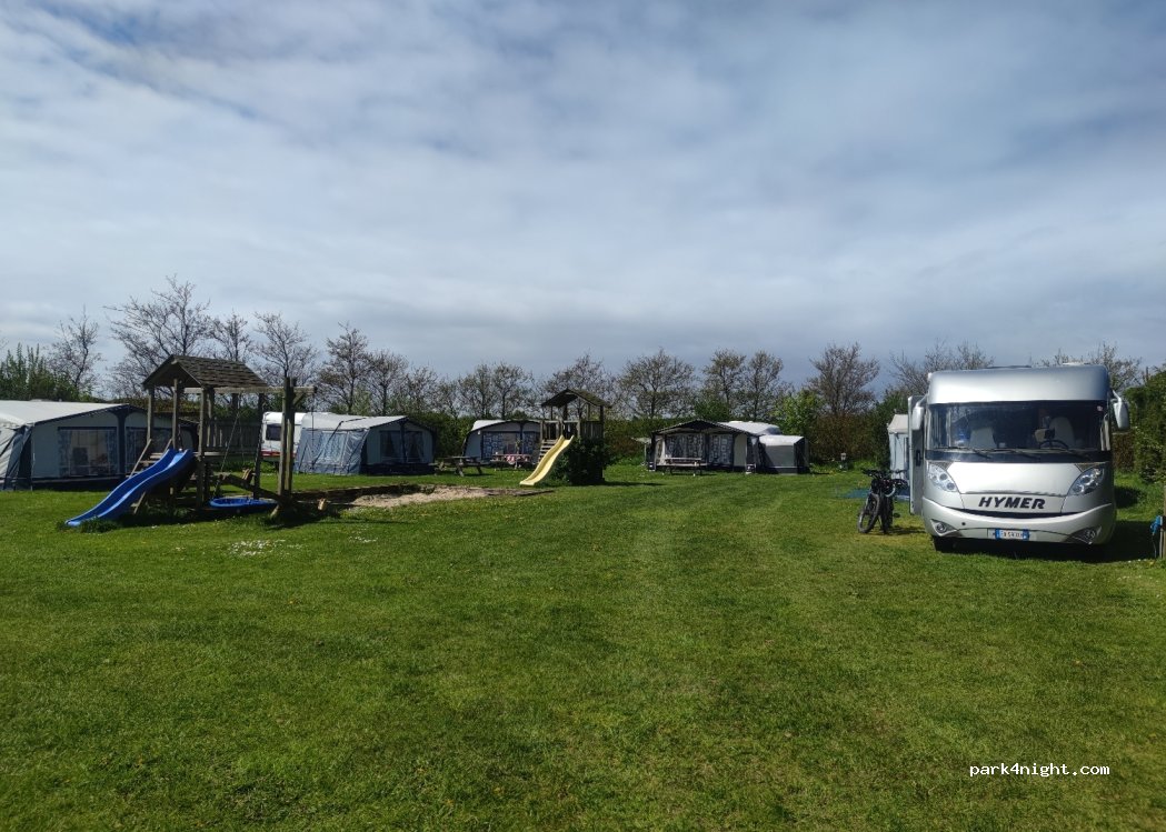 Bloembollen Camping Bungalow Zevenbergen — foto