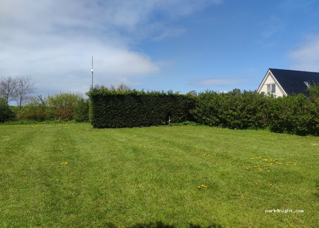Bloembollen Camping Bungalow Zevenbergen — foto 2