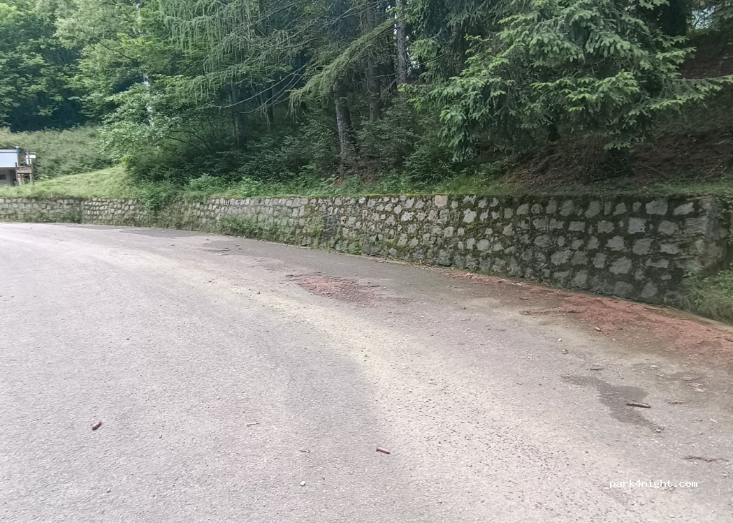 (13821) Falletti-guelpa - 63 Via Passaggio — foto