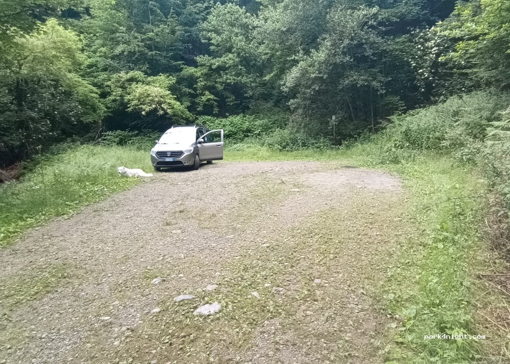 (13821) Falletti-guelpa - 63 Via Passaggio — foto 4
