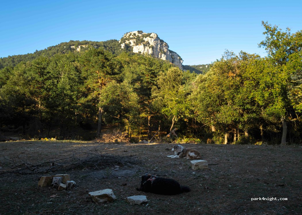 (17734) Lliurona - — foto 2