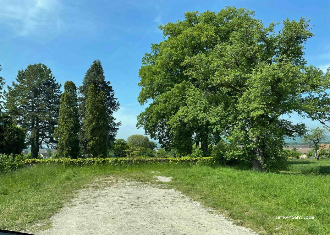 (78224) Singen (Hohentwiel) - Friedhofstraße — foto 3