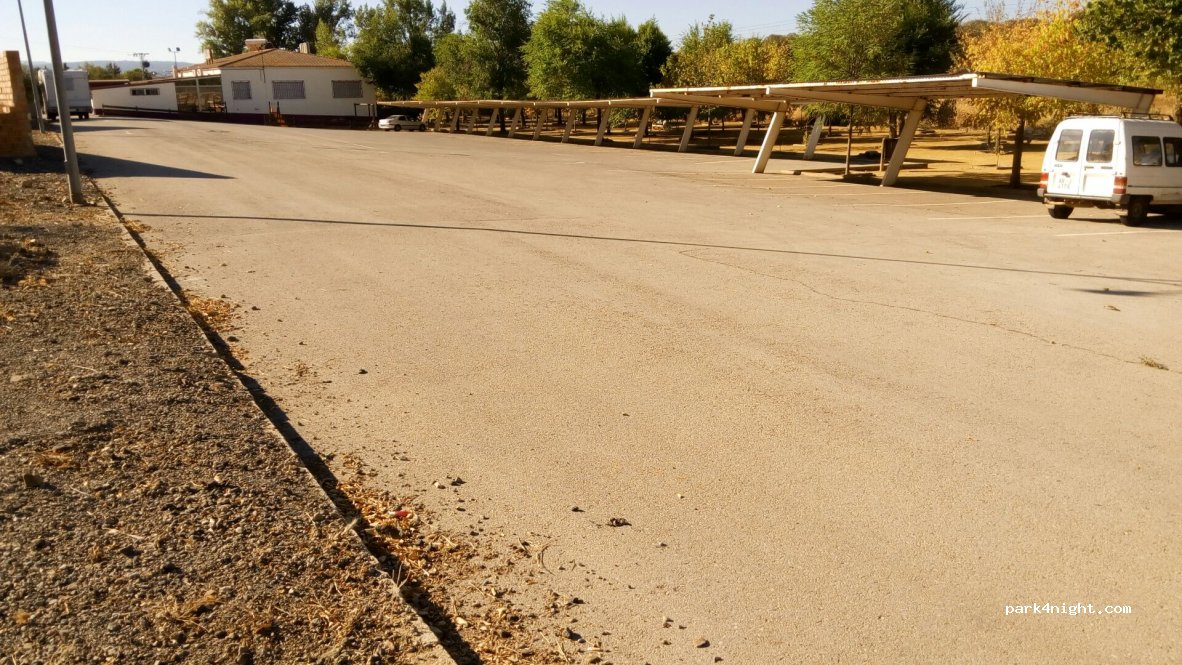 (13760) Almuradiel - Camino al Pantano de Almuradiel — foto