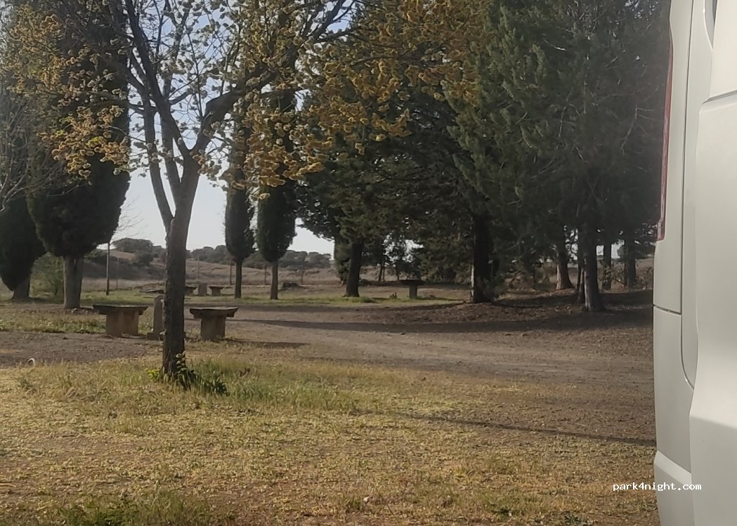 (13760) Almuradiel - Camino al Pantano de Almuradiel — foto 3