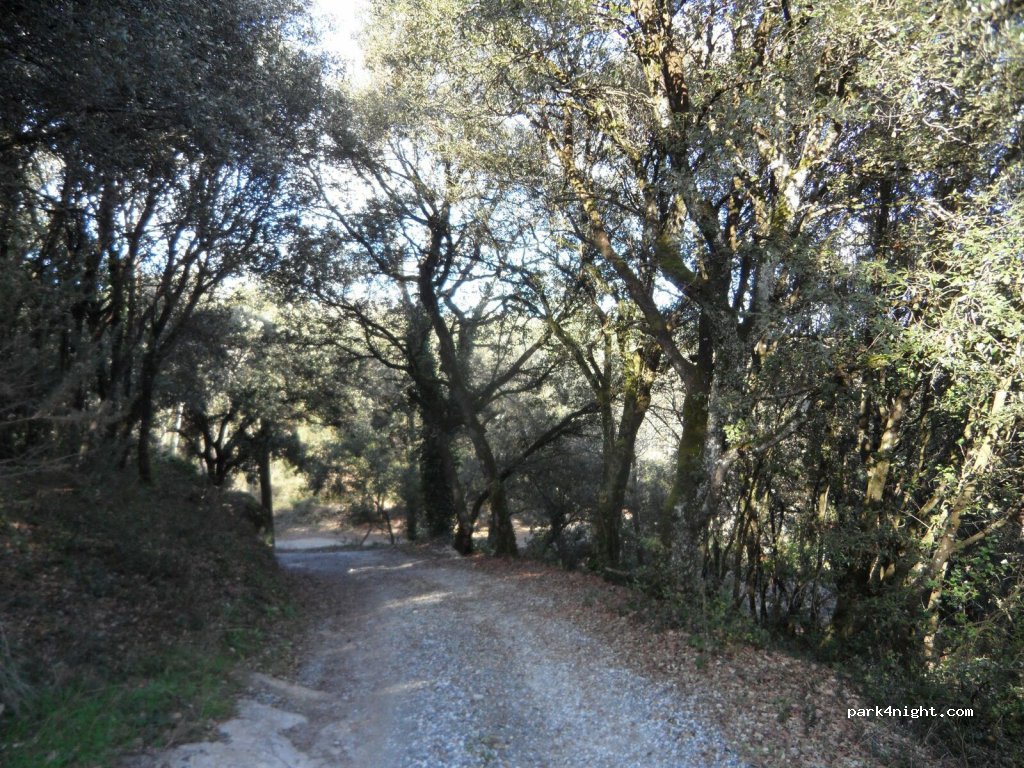 (11310) Villemagne - — foto