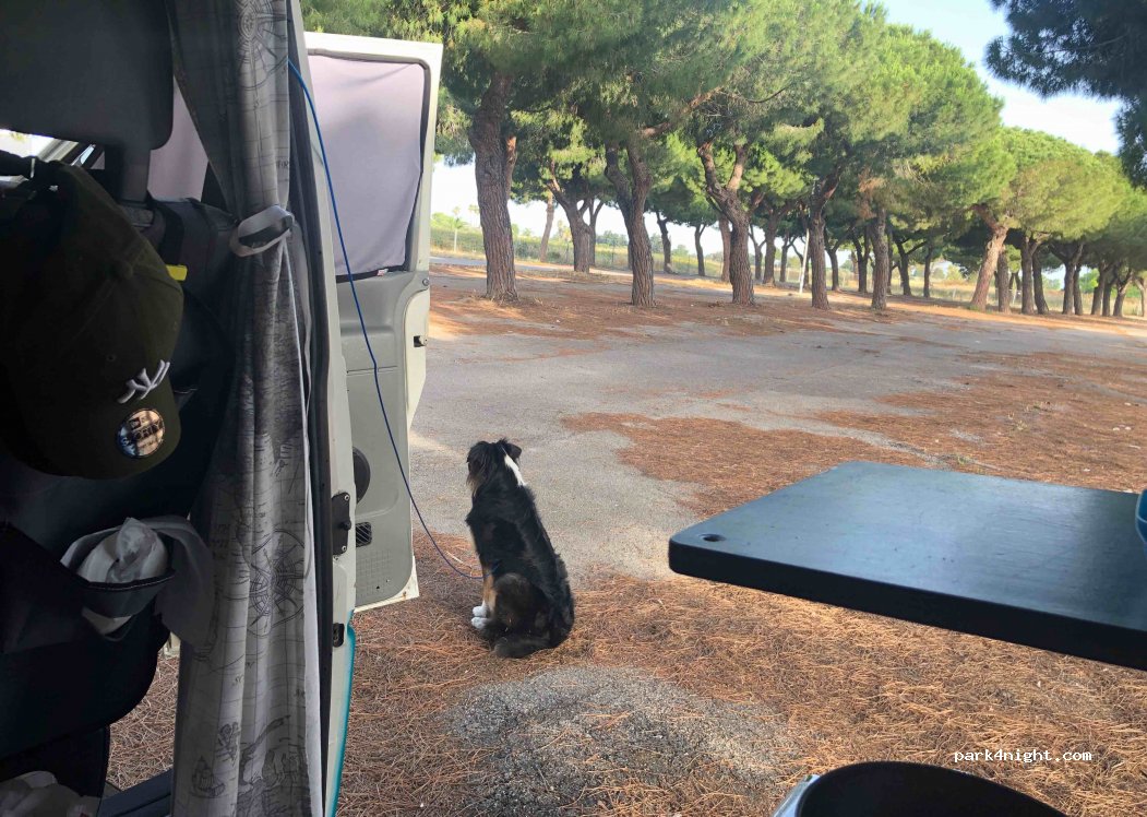 (72100) Brindisi - . Via Benedetto Brin — foto 2