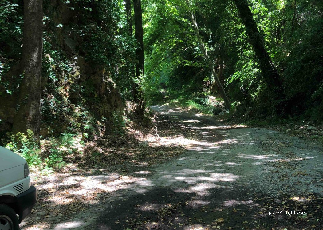 (370 12) Zagora Mouresi - Unnamed road — foto