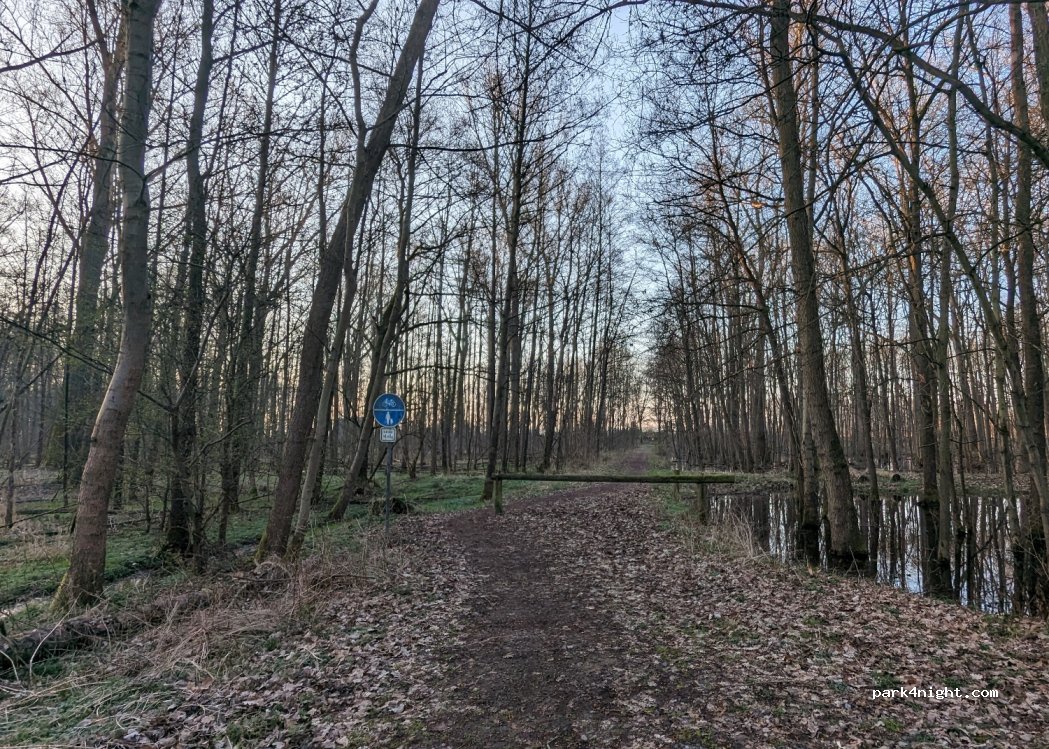 (36208) Wildeck - Unnamed road — foto 4