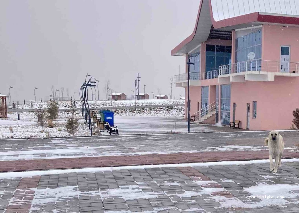 (06950) Şereflikoçhisar - D750 — foto 3