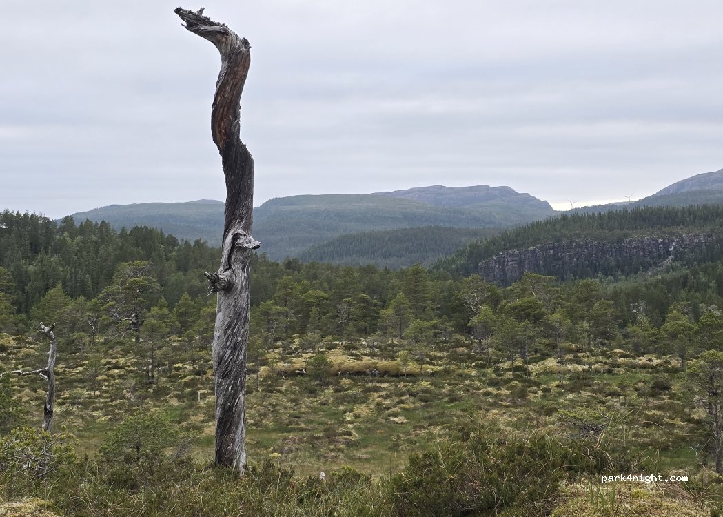 (7113) Husbysjøen - Unnamed road — foto 3