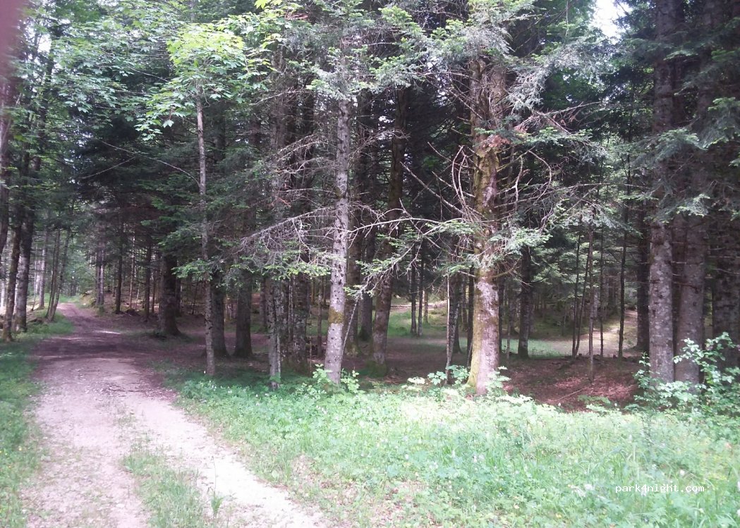 (25240) Mouthe - Unnamed road — foto