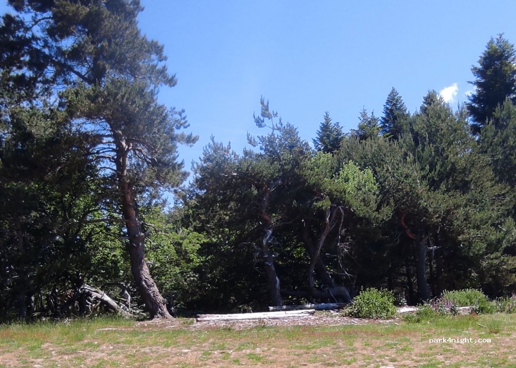 (07160) Dornas - Unnamed Road — foto