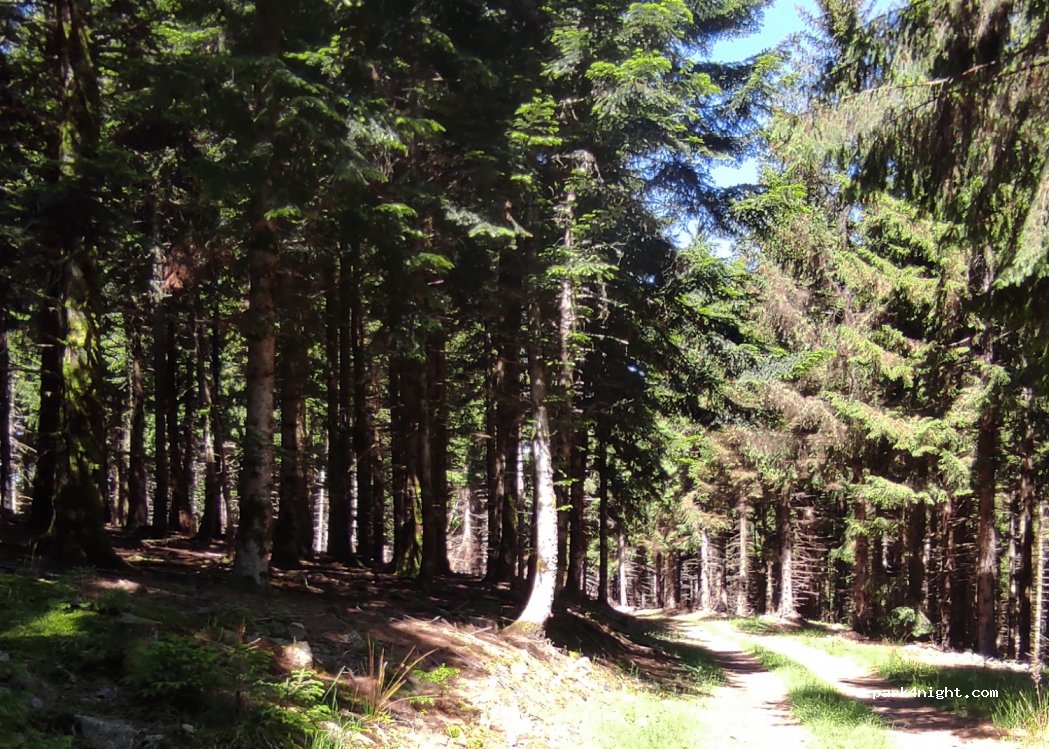 (07160) Dornas - Unnamed Road — foto 3