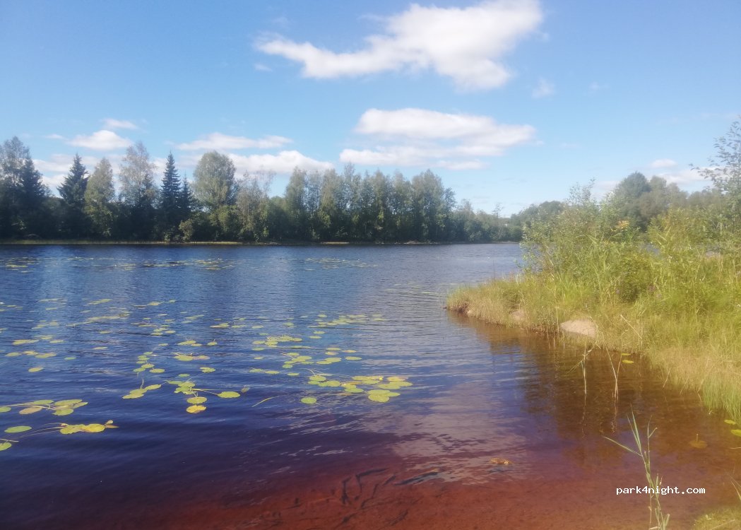 Sörmarks Camping — foto 5