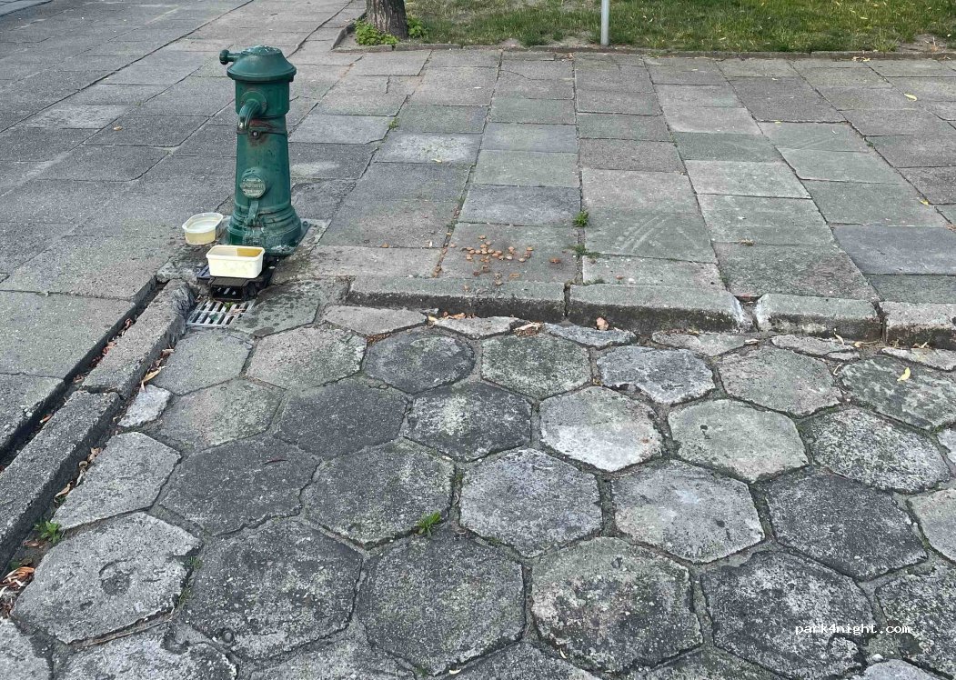 (63-910) Miejska Górka - 9 Rynek — foto