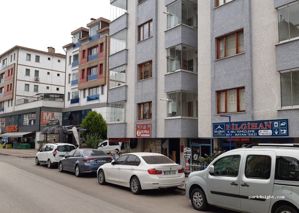 (52200) Altınordu - 14 Ahmet Cemal Mağden Caddesi — foto 2