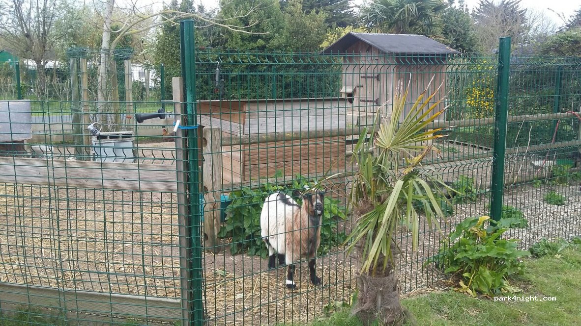 Camping Antioche d'Oléron — foto 3