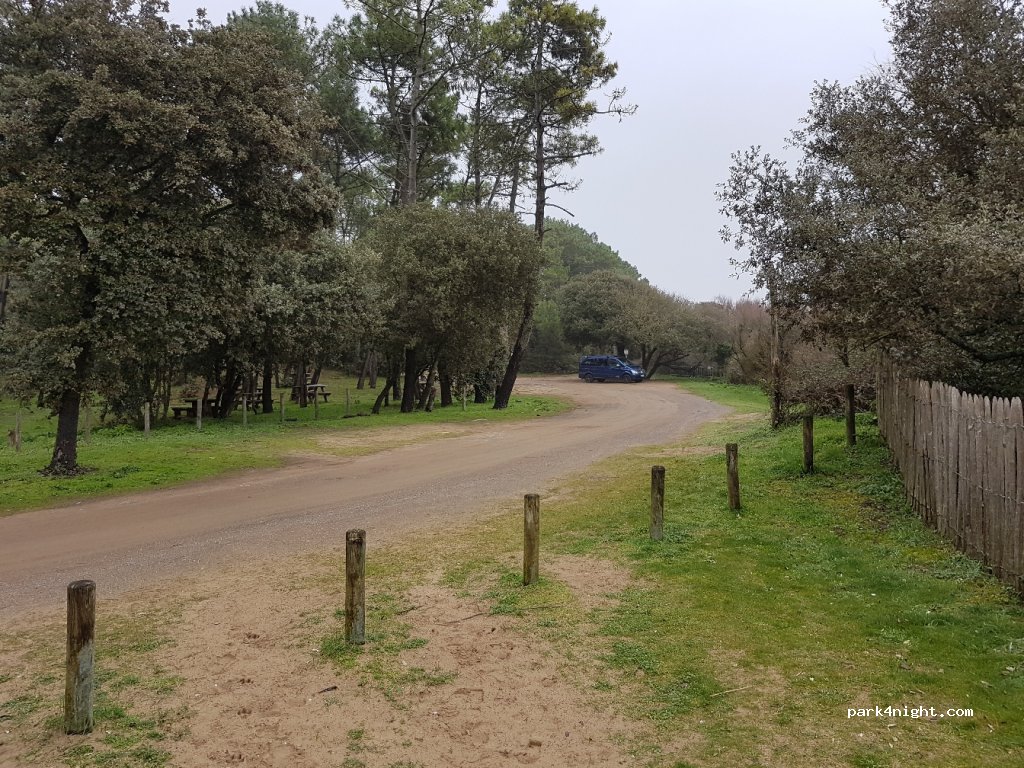 (85560) Longeville-sur-Mer - Chemin de Rampillon — foto