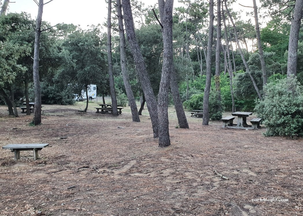 (85560) Longeville-sur-Mer - Chemin de Rampillon — foto 3