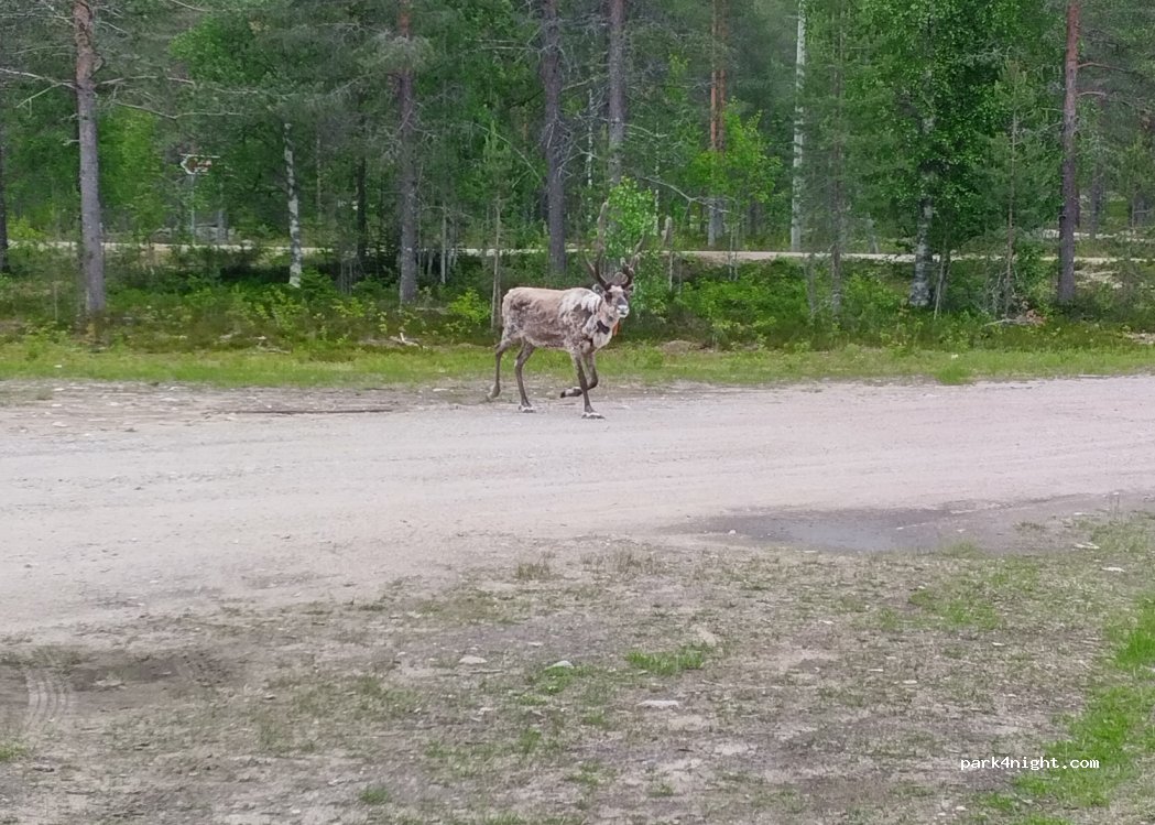 (89200) Puolanka - 1 Kuirivaarantie — foto 3