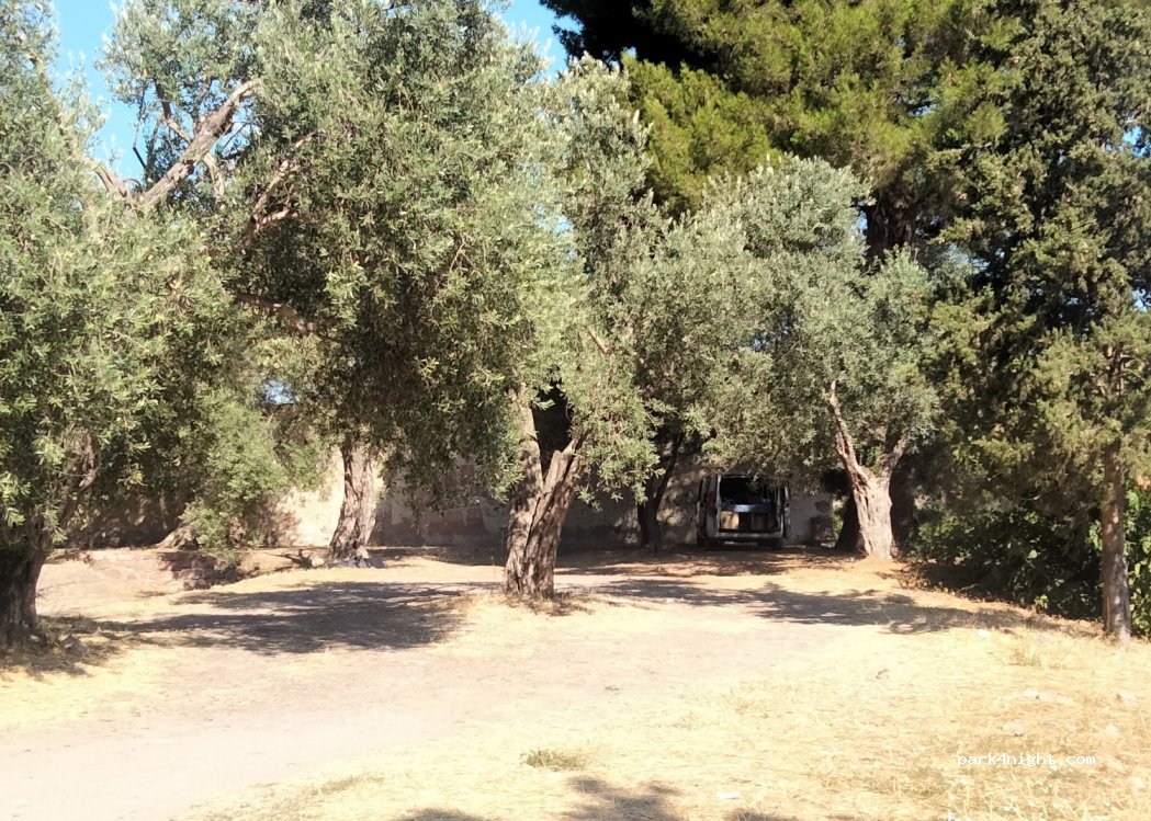 (08013) Bosa - — foto 2