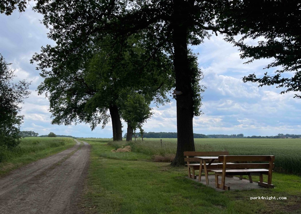 (48351) Everswinkel - — foto