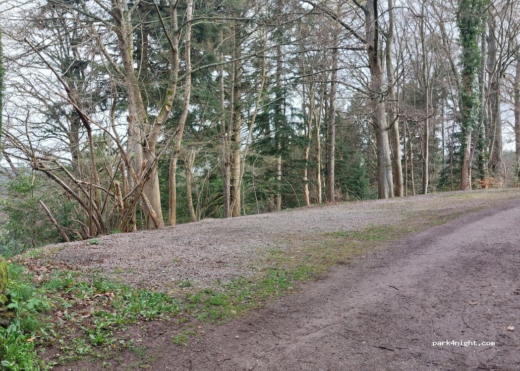 (67710) Wangenbourg-Engenthal - 105 Rue du Château — foto 4