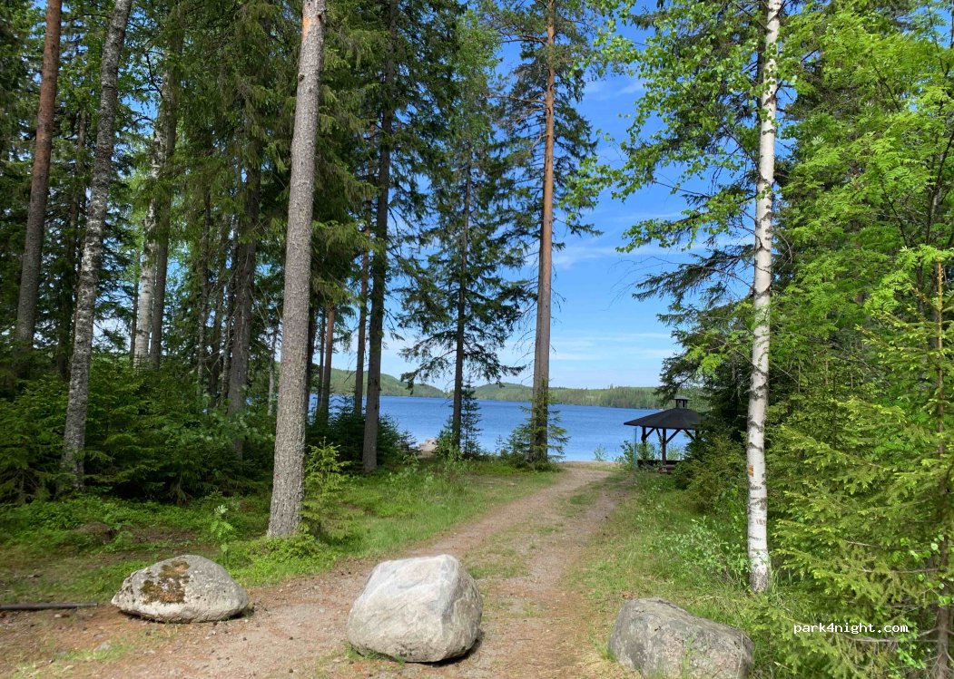 (70800) Kuopio - 38 Metsäpelto — foto