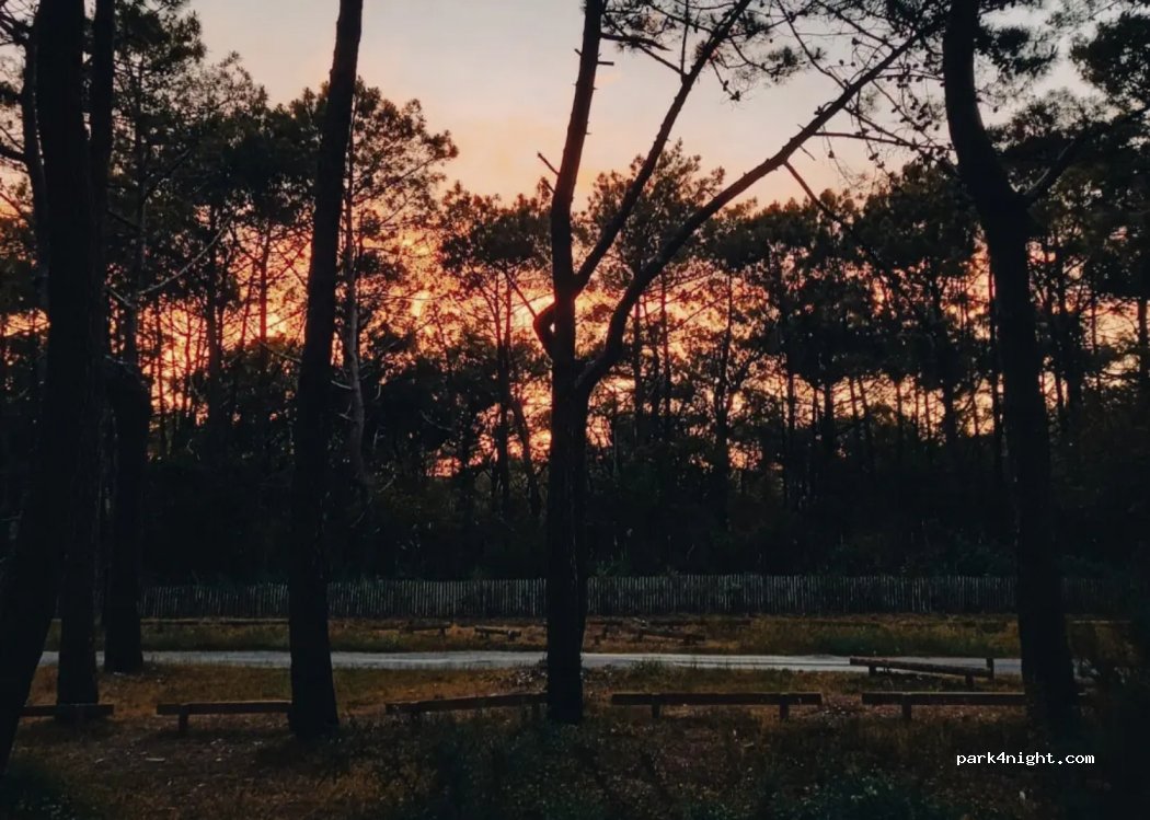 (33950) Lège-Cap-Ferret - Unnamed Road — foto
