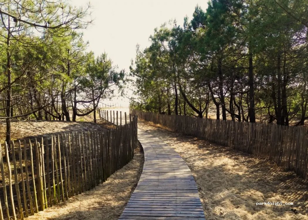 (33950) Lège-Cap-Ferret - Unnamed Road — foto 2