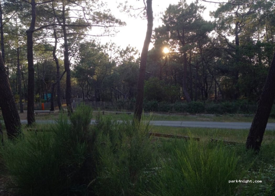 (33950) Lège-Cap-Ferret - Unnamed Road — foto 3